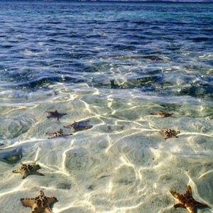 Meet your Posher, Crystine